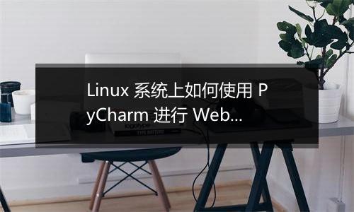 Linux 系统上如何使用 PyCharm 进行 Web 开发?