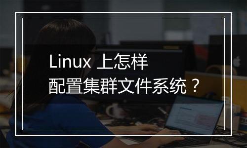 Linux 上怎样配置集群文件系统?