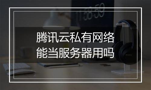 腾讯云私有网络能当服务器用吗