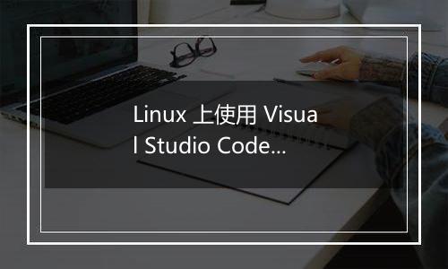 Linux 上使用 Visual Studio Code 进行物联网开发有哪些推荐配置?