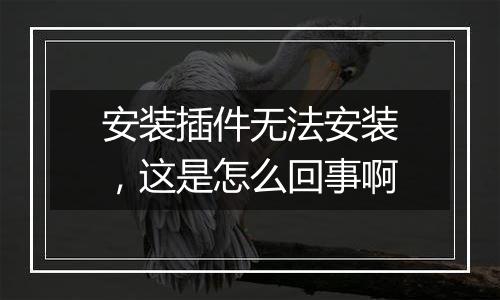 安装插件无法安装,这是怎么回事啊