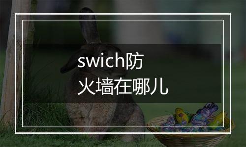 swich防火墙在哪儿