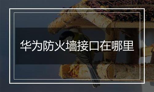 华为防火墙接口在哪里