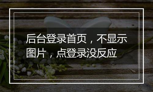 后台登录首页，不显示图片，点登录没反应