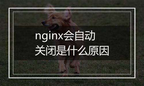 nginx会自动关闭是什么原因
