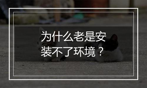 为什么老是安装不了环境?