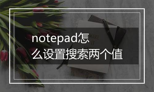 notepad怎么设置搜索两个值