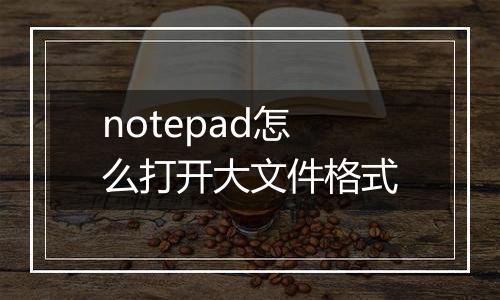 notepad怎么打开大文件格式