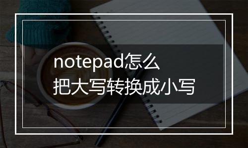 notepad怎么把大写转换成小写