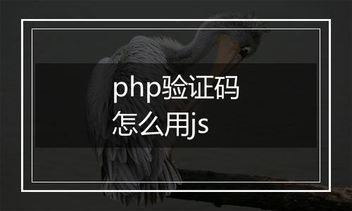 php验证码怎么用js