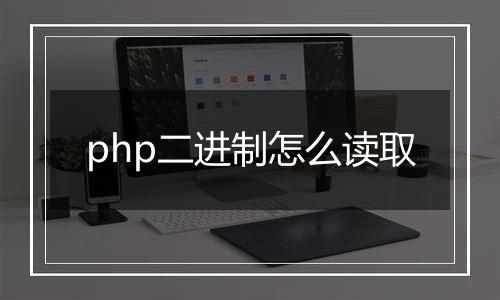 php二进制怎么读取