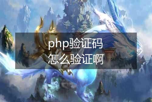 php验证码怎么验证啊
