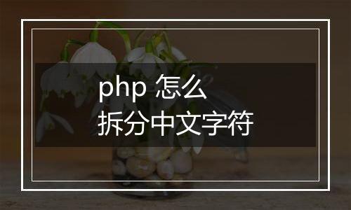 php 怎么拆分中文字符