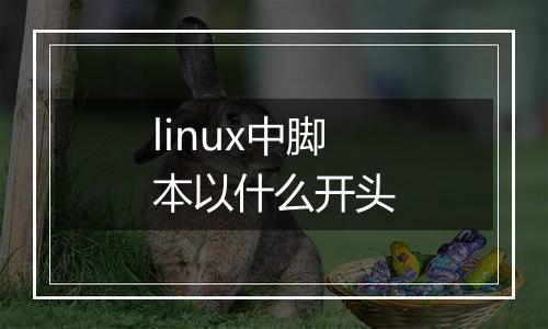 linux中脚本以什么开头