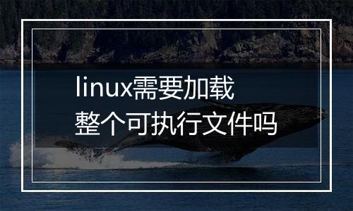 linux需要加载整个可执行文件吗