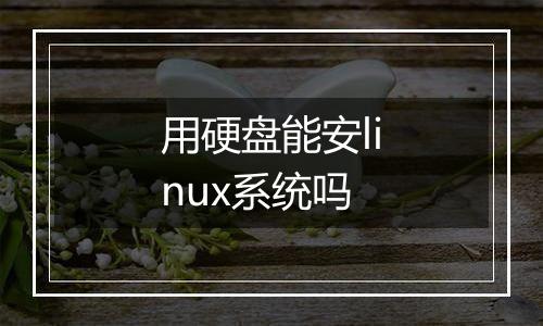 用硬盘能安linux系统吗
