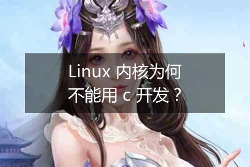 Linux 内核为何不能用 c 开发?