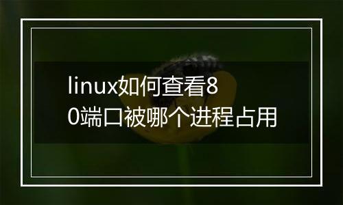 linux如何查看80端口被哪个进程占用