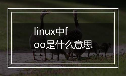 linux中foo是什么意思