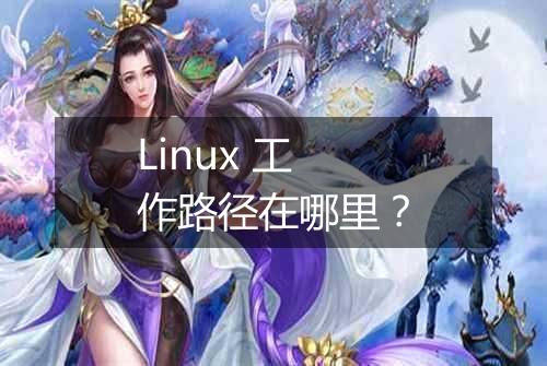 Linux 工作路径在哪里?