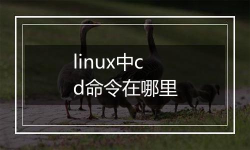 linux中cd命令在哪里