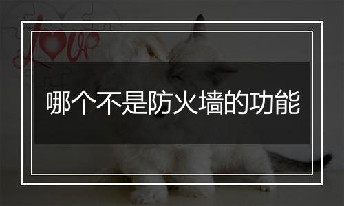 哪个不是防火墙的功能