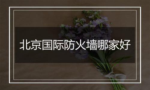 北京国际防火墙哪家好