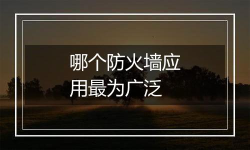 哪个防火墙应用最为广泛