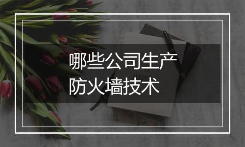 哪些公司生产防火墙技术