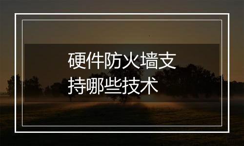 硬件防火墙支持哪些技术