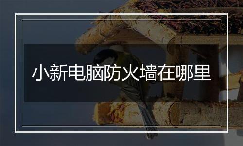 小新电脑防火墙在哪里