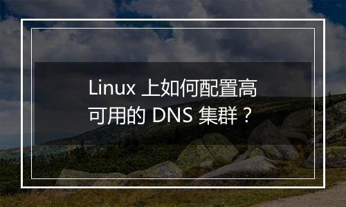Linux 上如何配置高可用的 DNS 集群？