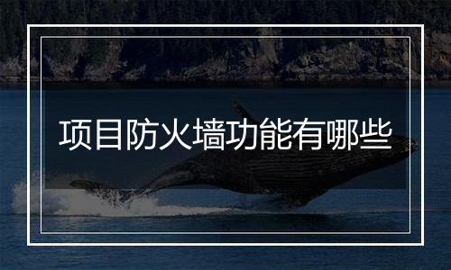 项目防火墙功能有哪些