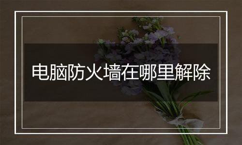 电脑防火墙在哪里解除
