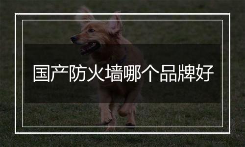 国产防火墙哪个品牌好