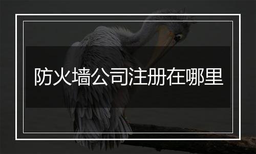 防火墙公司注册在哪里