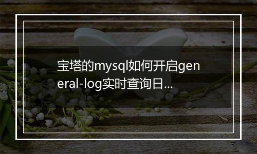 宝塔的mysql如何开启general-log实时查询日志