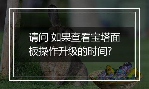 请问 如果查看宝塔面板操作升级的时间?