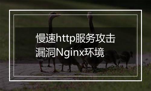 慢速http服务攻击漏洞Nginx环境
