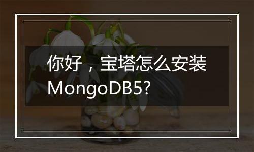 你好,宝塔怎么安装MongoDB5?