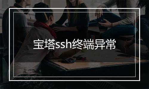 宝塔ssh终端异常