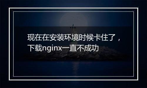 现在在安装环境时候卡住了,下载nginx一直不成功
