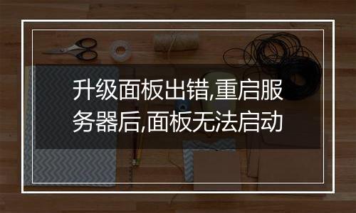 升级面板出错,重启服务器后,面板无法启动