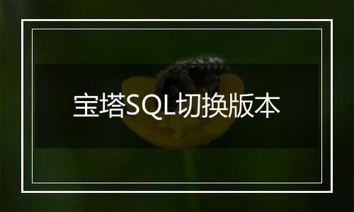 宝塔SQL切换版本