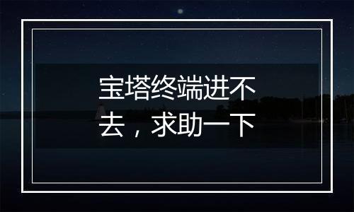 宝塔终端进不去，求助一下