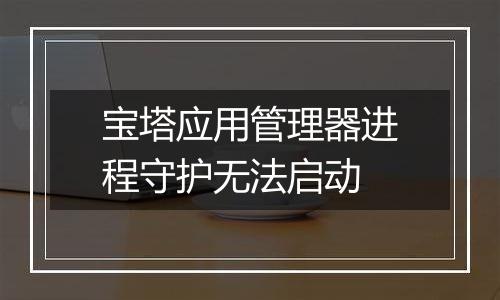 宝塔应用管理器进程守护无法启动