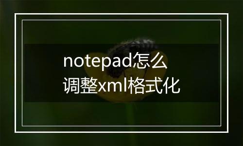 notepad怎么调整xml格式化