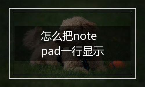 怎么把notepad一行显示