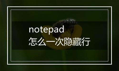 notepad怎么一次隐藏行