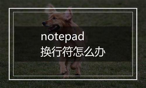notepad换行符怎么办